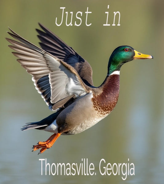 Just in Thomasville