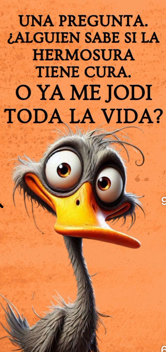 Ugly Duck (Spanish)